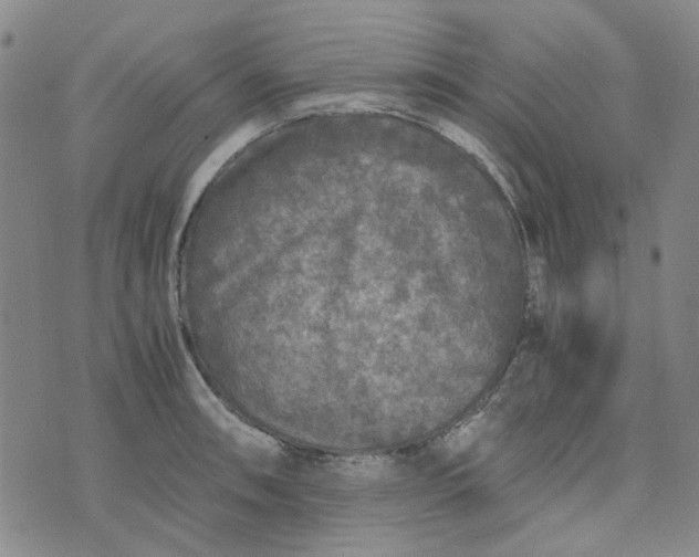 X0000076311090200610161613