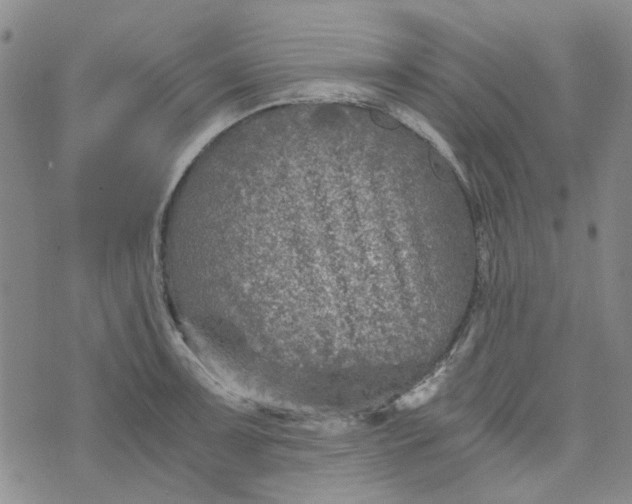 X0000076311091200610161613