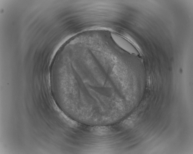 X0000076311092200610161612