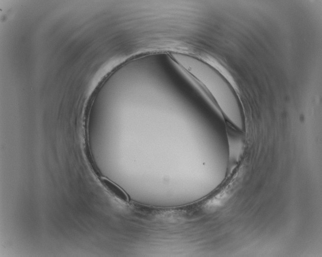 X0000076311093200610161612