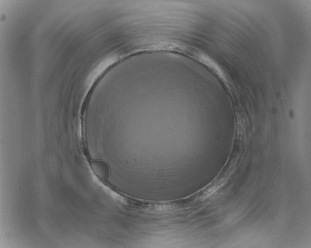 X0000076311095200610161612