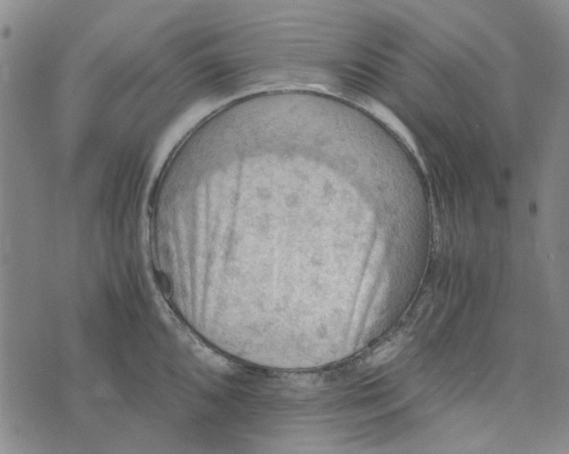 X0000076311096200610161612