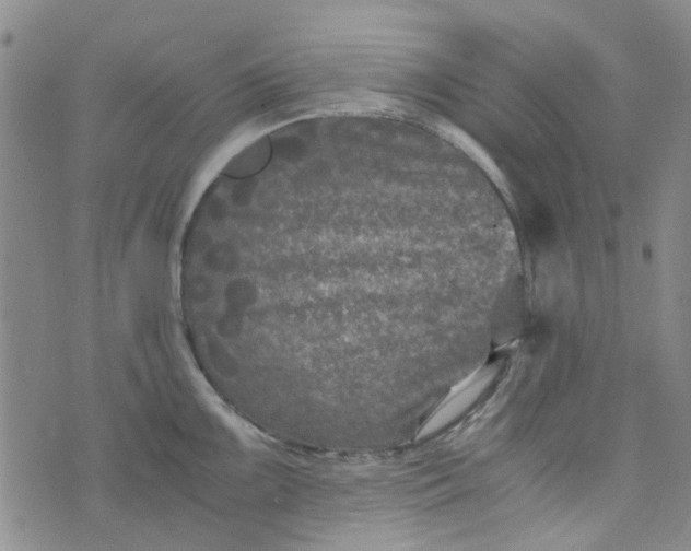 X0000076311099200610161612