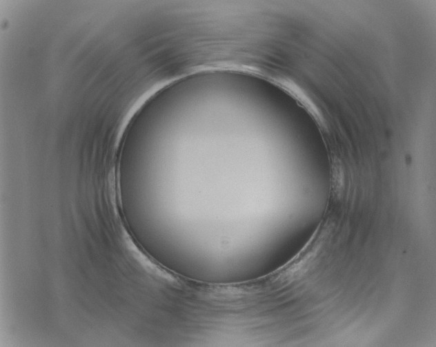 X0000076311100200610161612