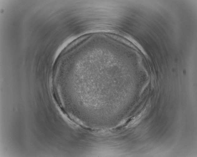 X0000076311101200610161612