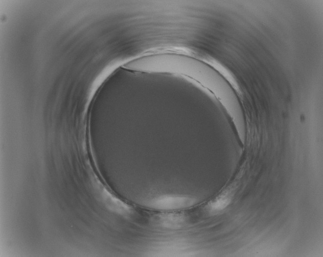 X0000076311102200610161612