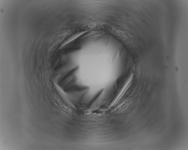 X0000076311105200610161612