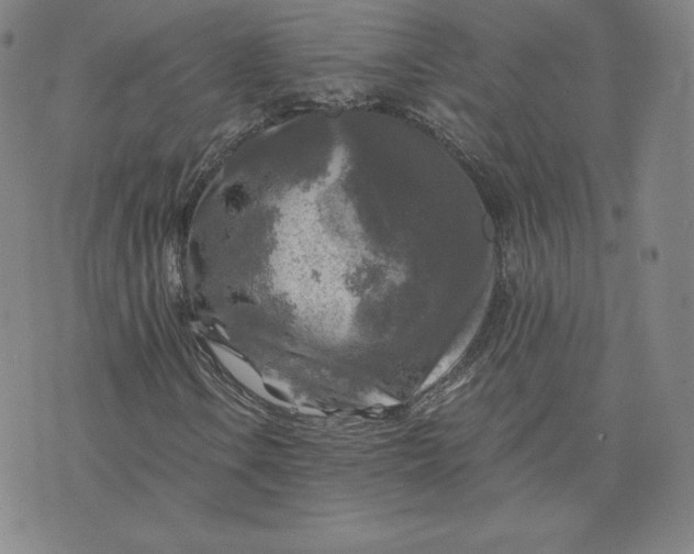 X0000076311106200610161612