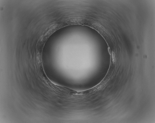 X0000076311107200610161612