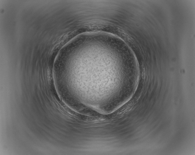 X0000076311108200610161612