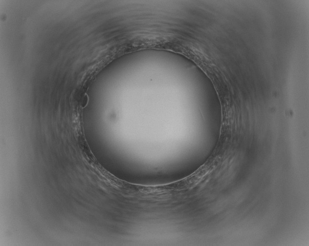 X0000076311109200610161612