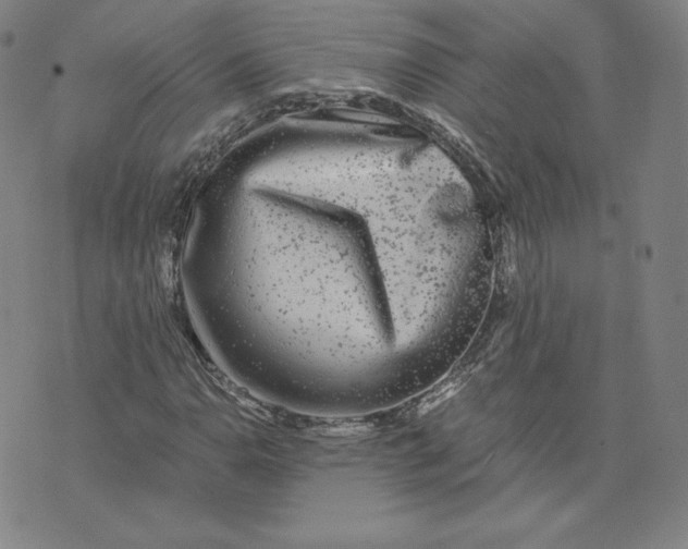 X0000076311110200610161612