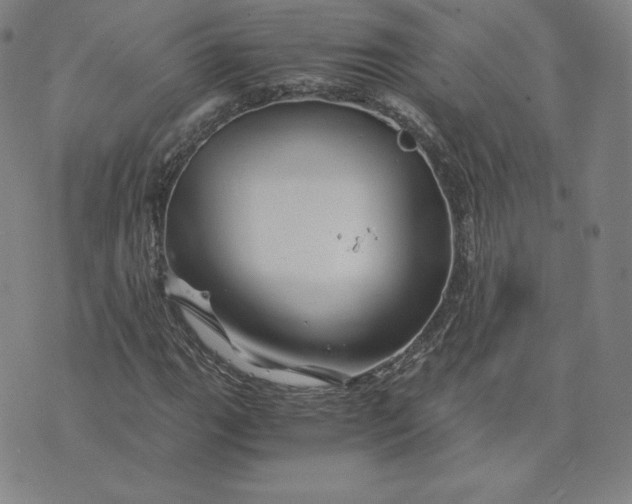 X0000076311111200610161612