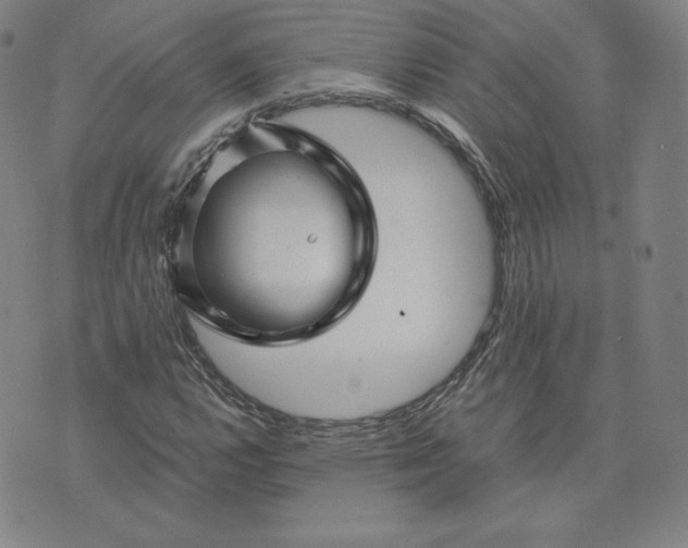 X0000076311112200610161612