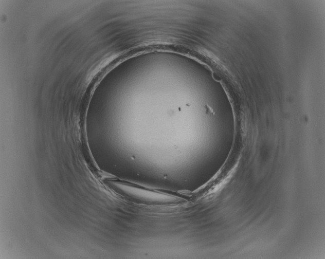 X0000076311113200610161612