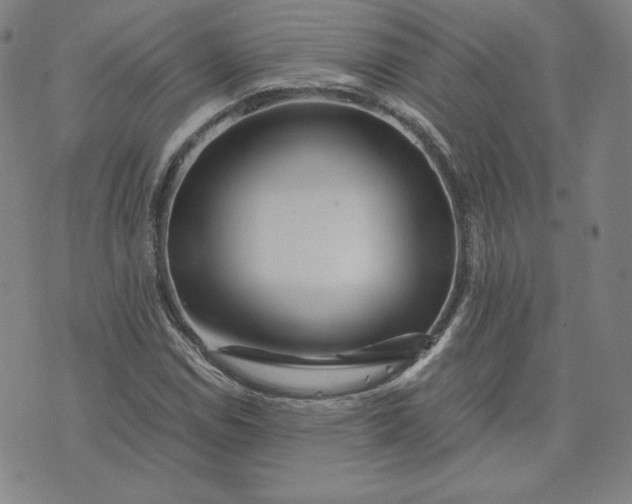 X0000076311114200610161612