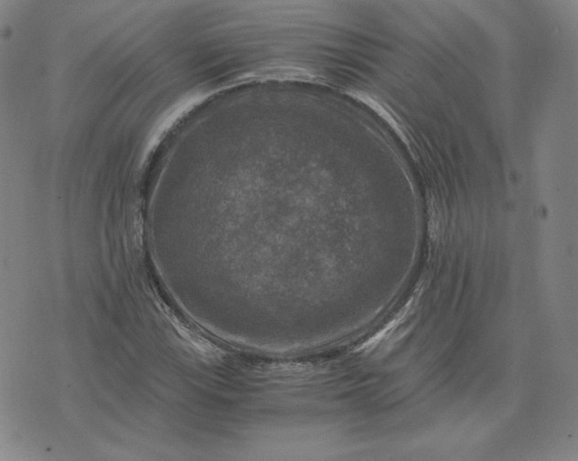 X0000076311115200610161612