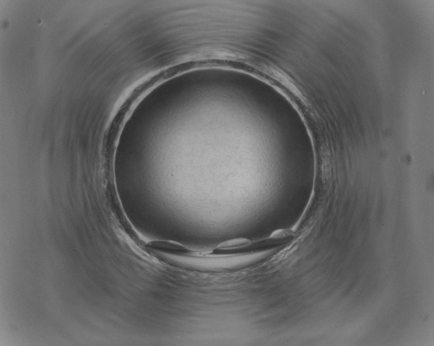 X0000076311116200610161612