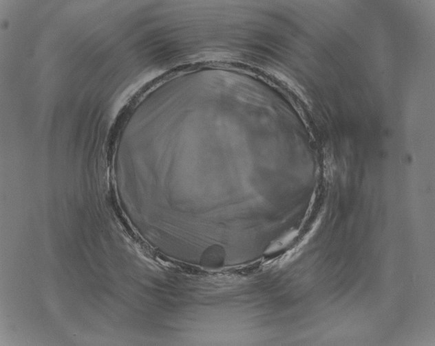 X0000076311117200610161612