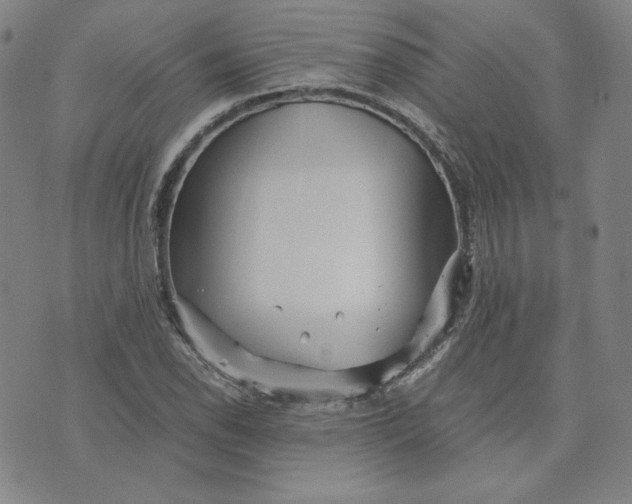 X0000076311118200610161612