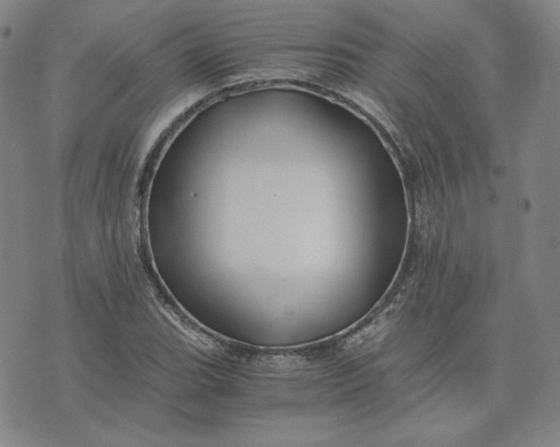 X0000076311119200610161612