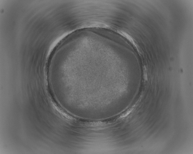 X0000076311120200610161612