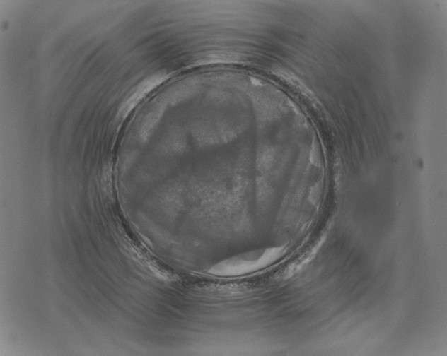 X0000076311121200610161612