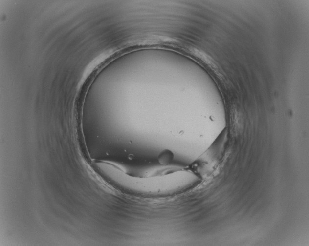 X0000076311122200610161612