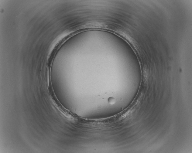 X0000076311123200610161612