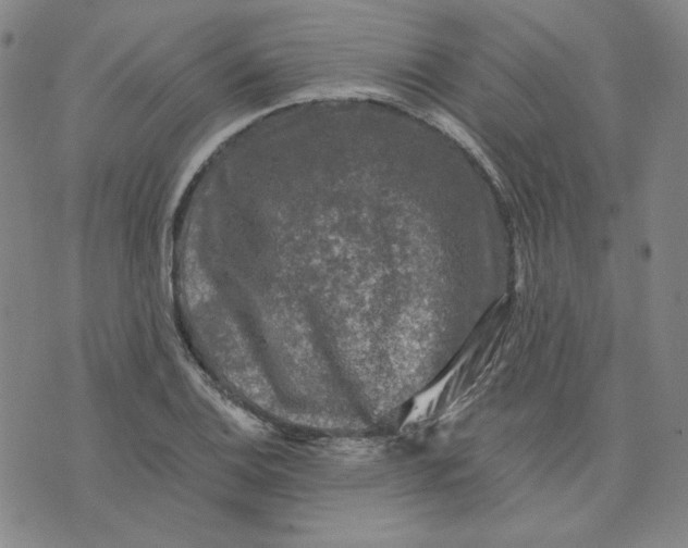 X0000076311124200610161612