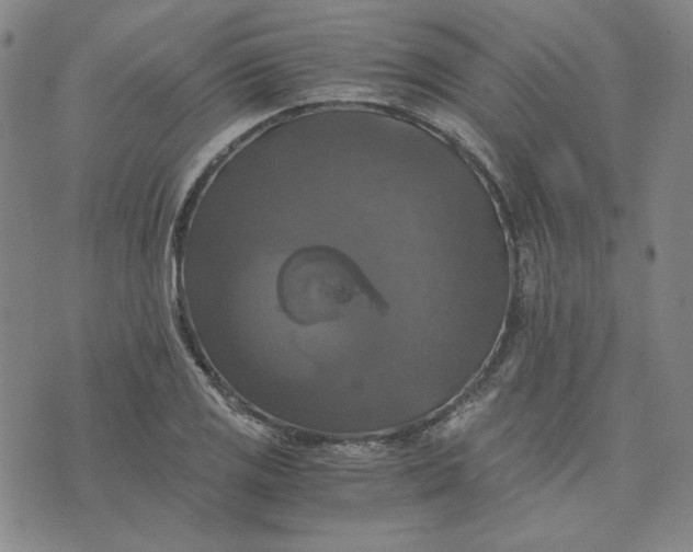 X0000076311125200610161612