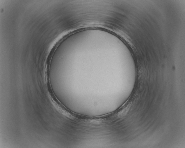 X0000076311126200610161612