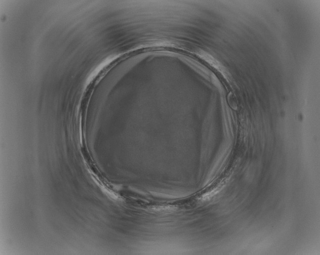 X0000076311127200610161612