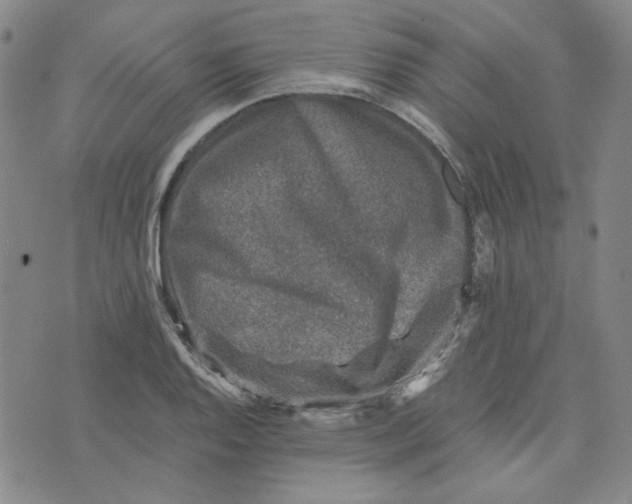 X0000076311128200610161612