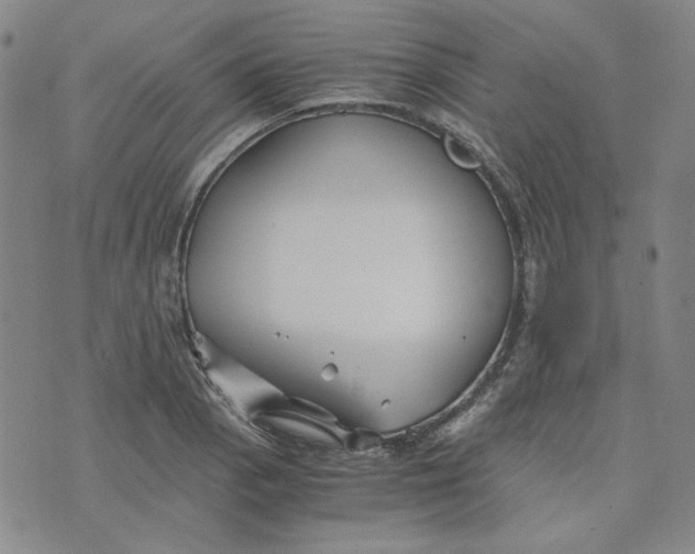 X0000076311129200610161612