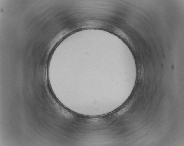 X0000076311130200610161612