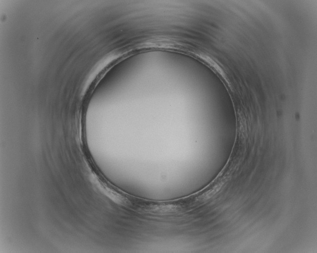 X0000076311131200610161612