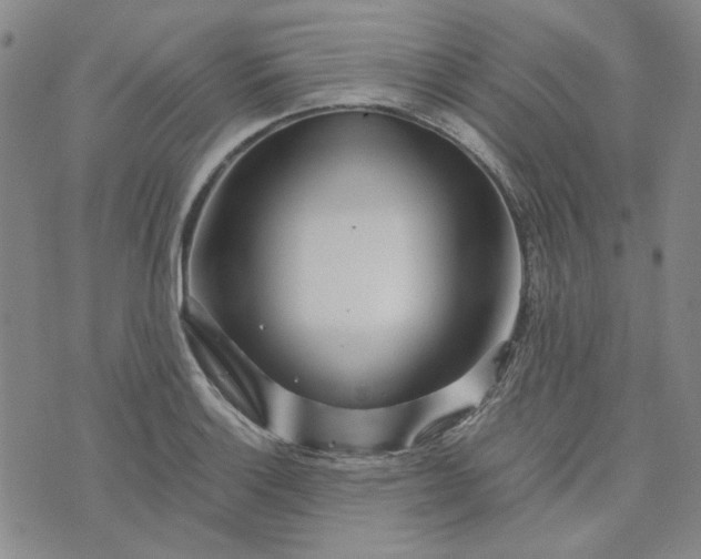 X0000076311132200610161612