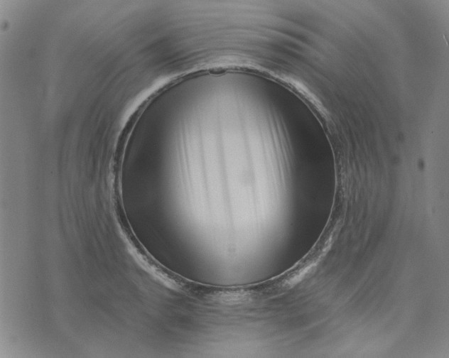 X0000076311134200610161612