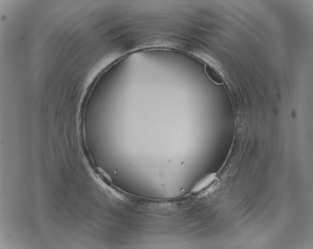 X0000076311135200610161612