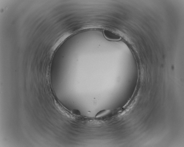 X0000076311137200610161612