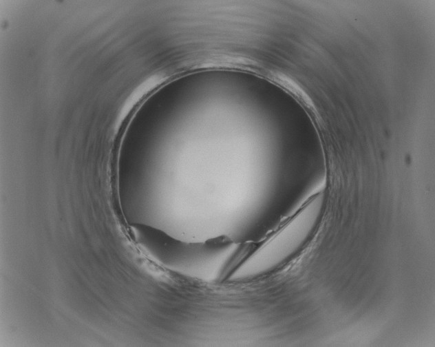 X0000076311138200610161612