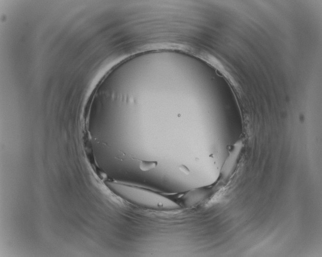 X0000076311140200610161612