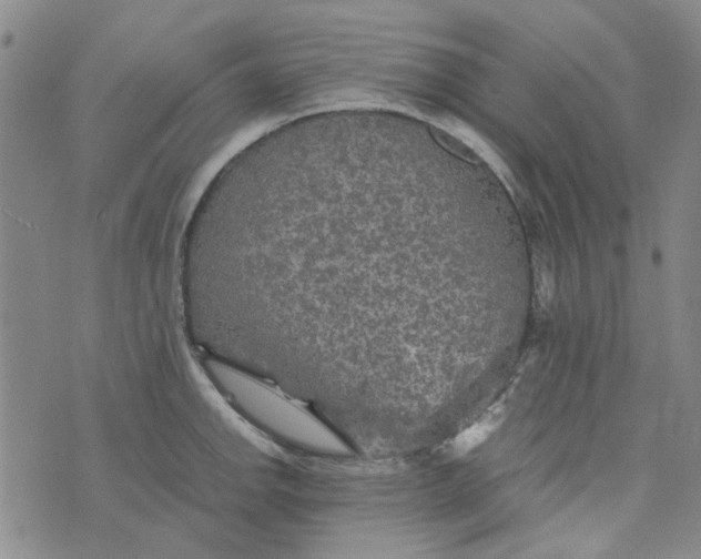 X0000076311142200610161612