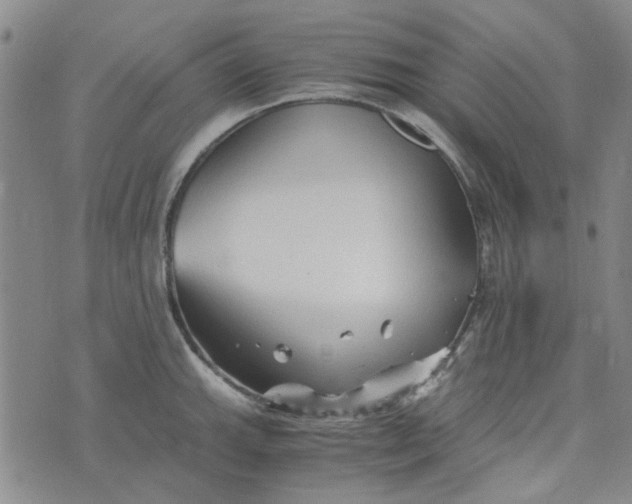 X0000076311143200610161612