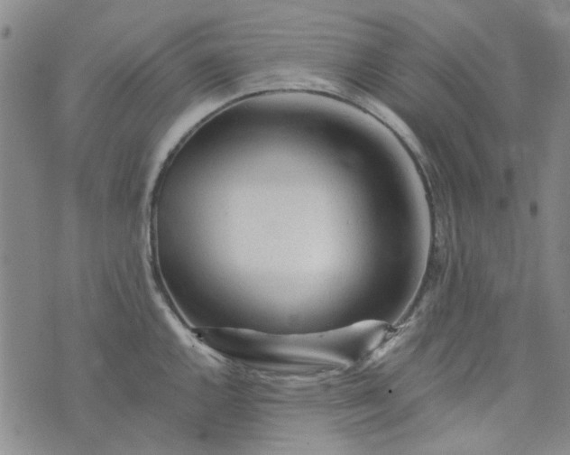 X0000076311144200610161612