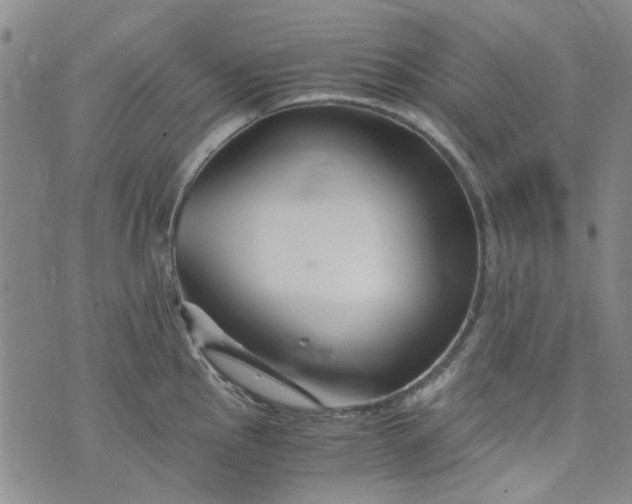 X0000076311145200610161612