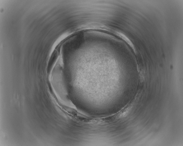 X0000076311146200610161612