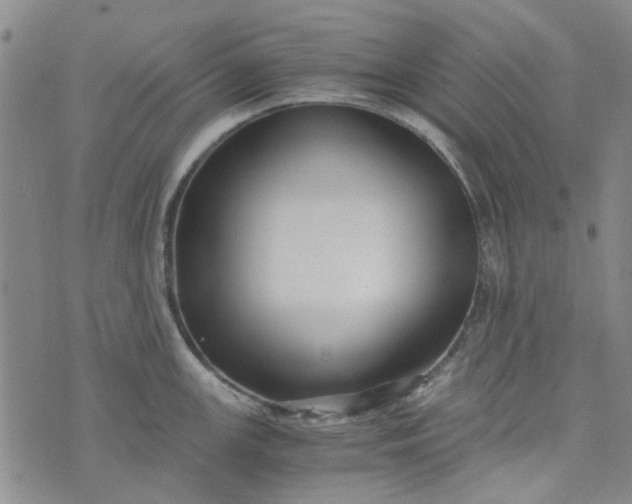 X0000076311147200610161612