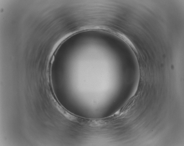 X0000076311148200610161612